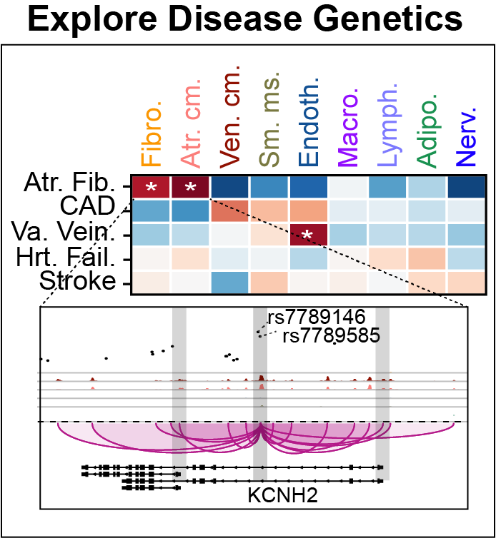 _images/Genetics.png
